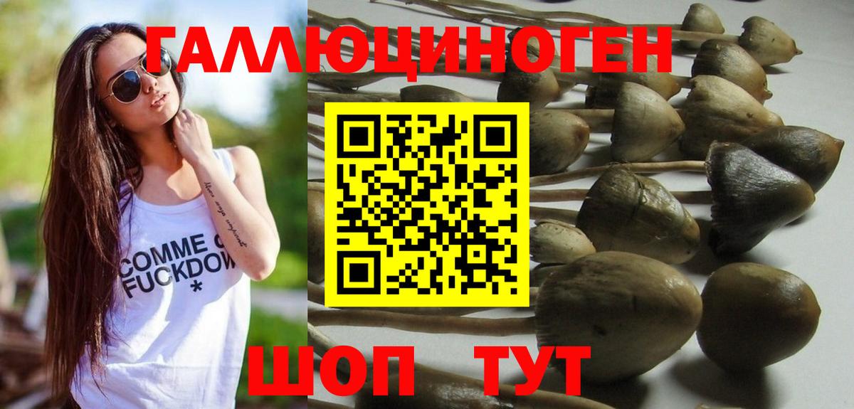 Галлюциногенные грибы мицелий Ейск