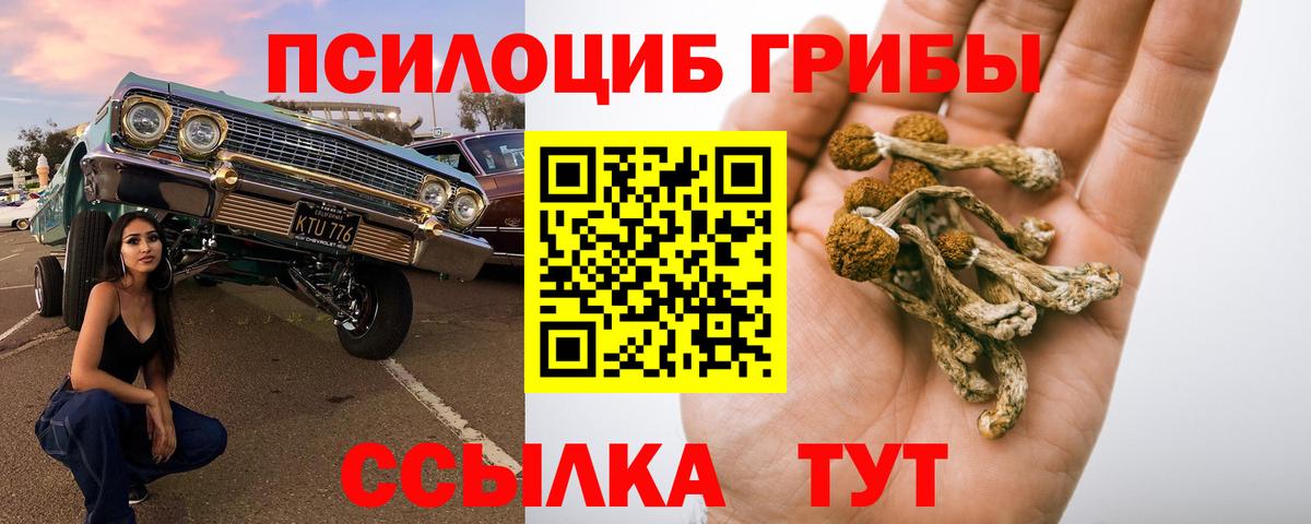 Галлюциногенные грибы мицелий  Вход с VPN  Ейск 